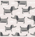 seamless pattern with hand drawn cute dogs vector image vector image