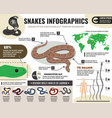 snakes reptiles infographics vector image