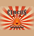 vintage circus poster vector image