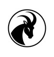 black minimalistic capricorn icon with horns vector image