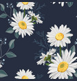 field herbs daisy textile print decoration vector image