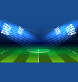soccer lamp stadium vector image