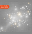 dust on a transparent backgroundbright starsthe vector image