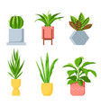 pot plants different houseplants with green vector image
