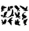 set silhouette eagles collection flying vector image vector image