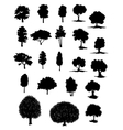 silhouettes of assorted trees vector image