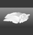 realistic cloud vector image