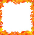 autumn leaves border vector image