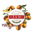 peach jam paper emblem over hand drawn vector image vector image