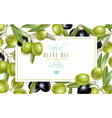 olive horizontal banner vector image vector image