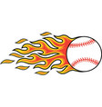flaming baseball vector image vector image