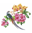 garden flowers and pheasant birds watercolor vector image
