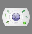 vitamin k vector image vector image