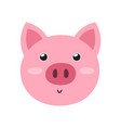 cute pig face in cartoon style farm character vector image