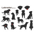 labrador in action vector image