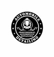 auto detailing anonymous hacker hoodie vector image