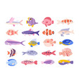 decorative cartoon tropical sea coral fishes vector image