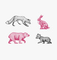 forest animals bear grizzly and red fox jumping vector image vector image