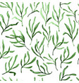 estragon therapeutic green leaf branch isolated vector image