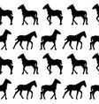 seamless background with foals silhouettes vector image