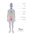 seven chakras energy body vector image