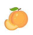 guicy peach fruit whit green leaf and slic vector image