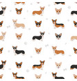 welsh corgi pembroke seamless pattern different vector image