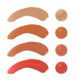 color shades of foundation make up face skin vector image vector image