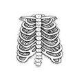 dotwork skeleton chest with key vector image vector image
