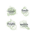 vegetables logo concept vector image