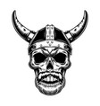 warrior skull in horned helmet vector image