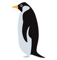 penguin icon antarctic fauna symbol cute bird vector image