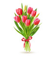 tulips bouquet realistic 3d spring holland vector image