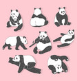 cute panda bear collection hand drawn vector image