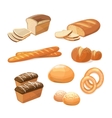 bakery and pastry products various sorts of bread vector image
