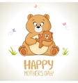 bear vector image vector image