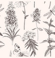 hand drawn meadow flowers seamless pattern vector image