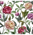 beautiful watercolor pattern with peonies on white vector image