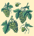 bunch grapes set berry leaves table fruit vector image vector image