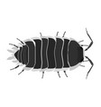 porcellio flavomarginatus - isopod - dorsal view vector image vector image