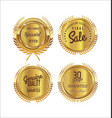 golden badge and laurel wreath collection 2 vector image vector image