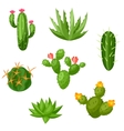collection of abstract cactuses and plants vector image