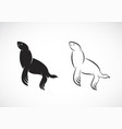 sea lion design on white background true seal vector image vector image