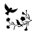 birds at tree silhouettes vector image