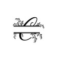 initial c decorative plant monogram split letter vector image