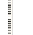 piano keys vector image vector image