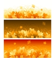decorative swirling autumn design vector image