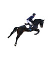 equestrian sport man rider on horse vector image