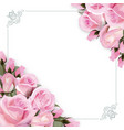 background with pink roses flowers vector image vector image