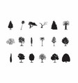 black tree silhouettes vector image